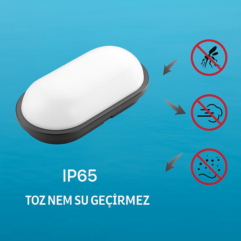 Horoz Aydos 15W IP65 Siyah Oval LED Tavan ve Duvar Lambası | 1500 Lümen Beyaz Işık | Su ve Toz Geçirmez Banyo, Bahçe, Balkon Aydınlatma Armatürü | 220V