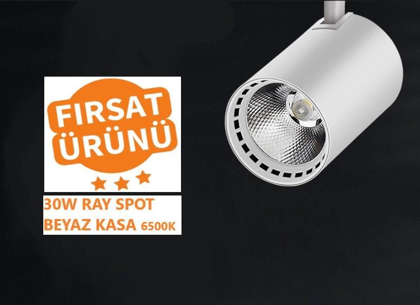 Ledli Ray Spot Beyaz Kasa 30 Watt Beyaz Işık (6500K)