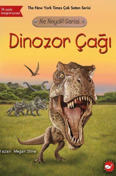 Dinozor Çağı