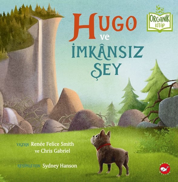Organik Kitap - Hugo ve İmkansız Şey