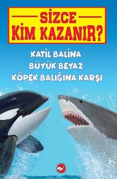 Sizce Kim Kazanır? Katil Balina Beyaz Köpekbalığına Karşı