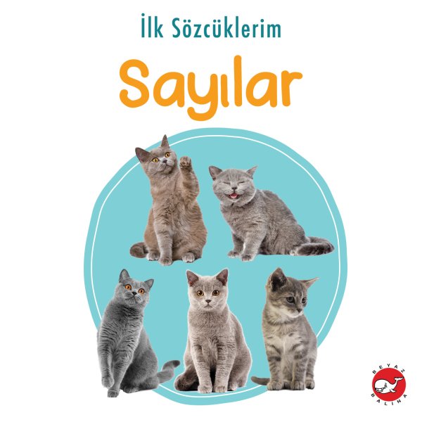 İlk Sözcüklerim - Sayılar