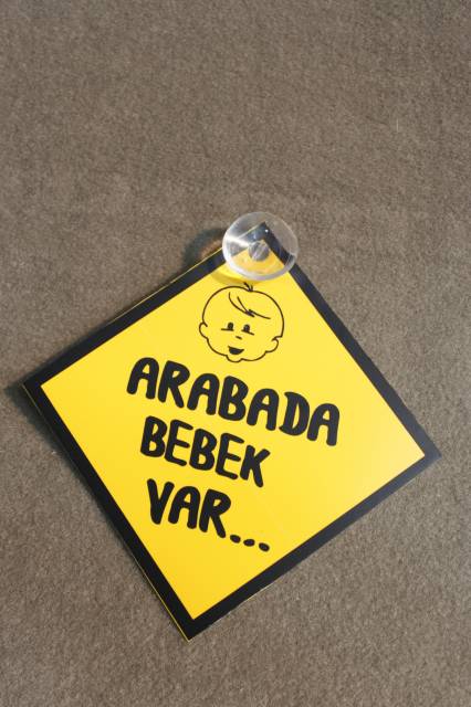 VANTUSLU ARABADA BEBEK VAR