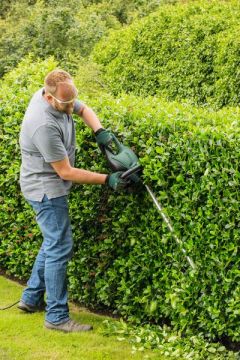 Bosch Universal HedgeCut 50 Çit Kesme Makinesi