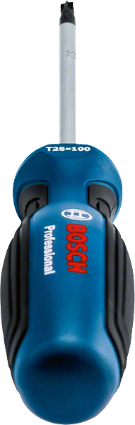 Bosch Profesyonel Seri Bosch Profesyonel Torx Tornavida TX25x100