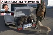 SGL-TOWBOX-V1A TOWBOX V1 AKSESUARLI DOG ÇEKİ DEMİRİNE TAKILAN KÖPEK VE YÜK TAŞIMA KUTUSU