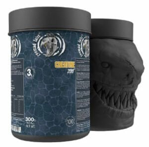 Zoomad Labs Creatine 300 gr