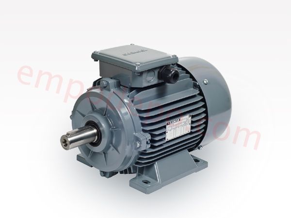 0.18 kW 1000 d/d Trifaze Elektrik Motoru