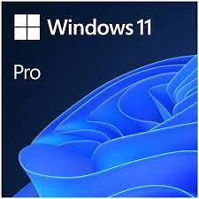 MICROSOFT WINDOWS 11 PRO 64BIT TURKCE OEM FQC-10556