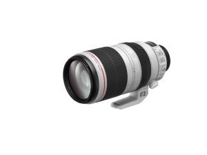 Canon Lens EF 100-400mm f/4.5-5.6 L IS II USM