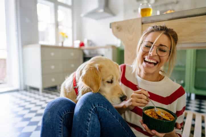 Köpekler İçin Zararlı Yiyecekler Nelerdir?