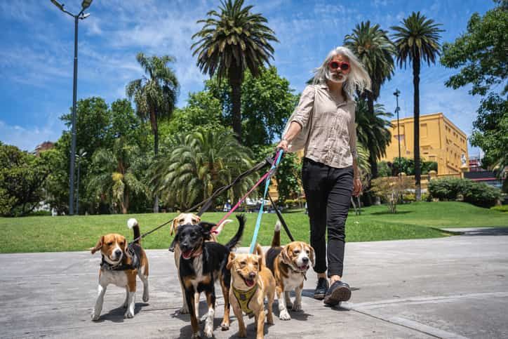 Köpekler Kaç Yıl Yaşar?