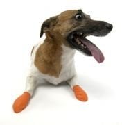 Köpek Galoşu PAWZ X-Small turuncu