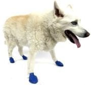 Köpek Galoşu PAWZ Medium mavi