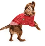 Küçük ve Orta Irk Köpek Sweater - Hodag