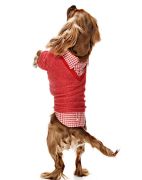 Küçük ve Orta Irk Köpek Sweater - Hodag