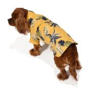 Küçük ve Orta Irk Köpek Gömlek Miika - Köpek Kıyafeti