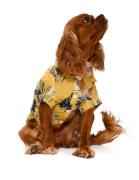 Küçük ve Orta Irk Köpek Gömlek Miika - Köpek Kıyafeti