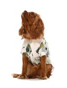 Küçük ve Orta Irk Köpek Gömlek Maija - Köpek Kıyafeti