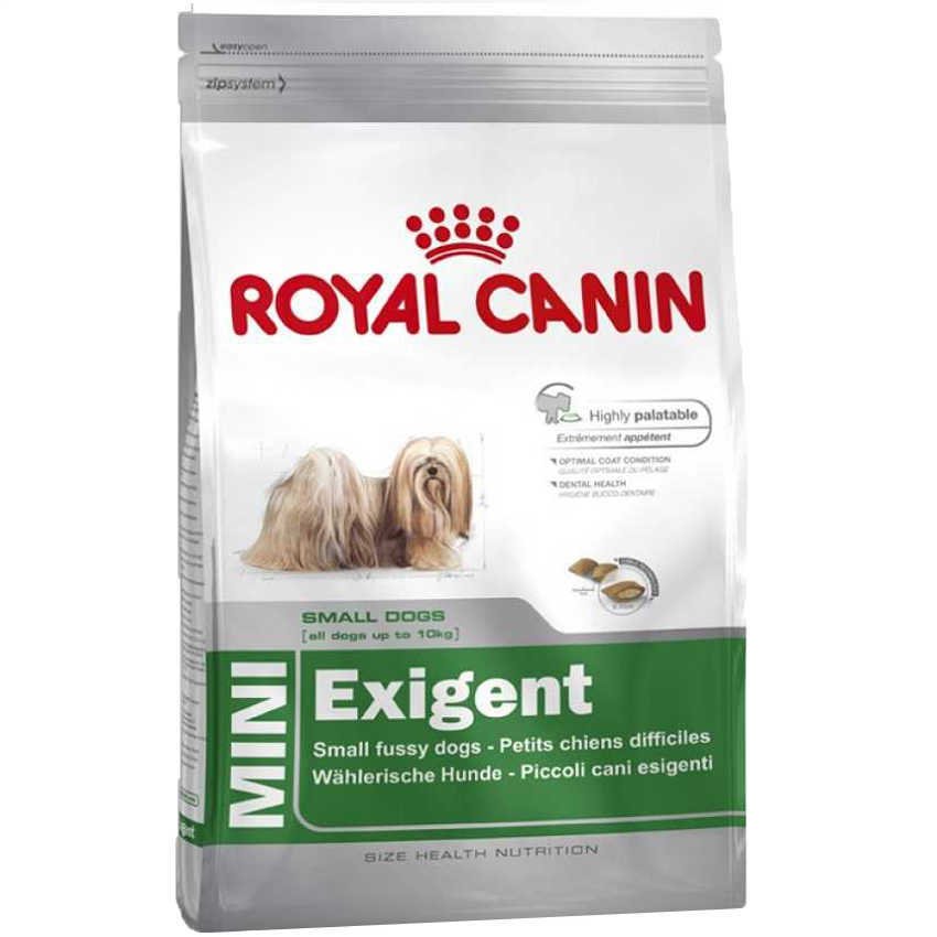 Royal Canin Mini Exigent Yetişkin Köpek Maması 2 Kg