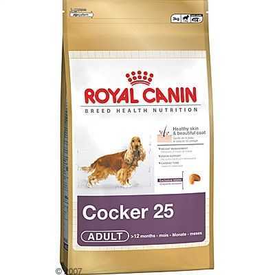 Royal Canin Cocker Spaniel 25 Köpek Maması 3 Kg