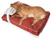 Köpek Yatağı ve Yastık Takımı - Ikran Large