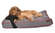 Köpek Yatağı ve Yastık Takımı - Zumma Large