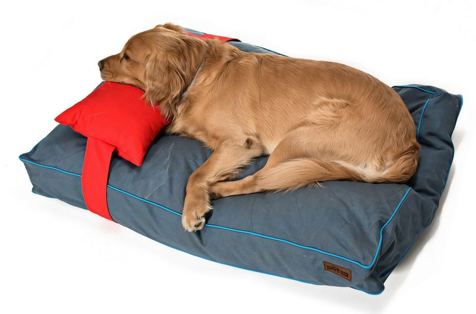 Köpek Yatağı ve Yastık Takımı - Kudu Medium
