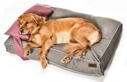 Köpek Yatağı ve Yastık Takımı - Xandro Large