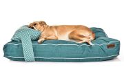 Köpek Yatağı ve Yastık Takımı - Eywa Large