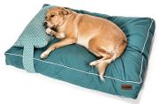 Köpek Yatağı ve Yastık Takımı - Eywa Large