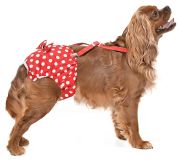 Köpek Külot - Özel Günler için Çıkarılamaz Çamaşır Dots