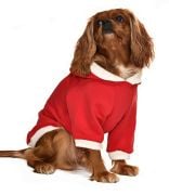 Küçük ve Orta Irk Köpek Sweatshirt - Dunder - Köpek Kıyafeti