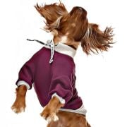 Küçük ve Orta Irk Köpek Sweatshirt - Ingo Mor - Köpek Kıyafeti
