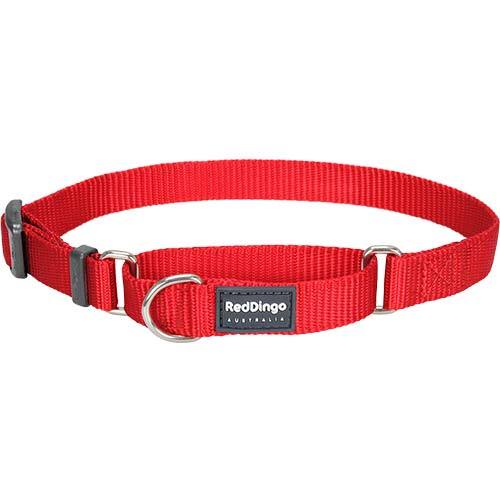 RedDingo Klasik Eğitim Köpek Boyun Tasması 25 mm Kırmızı