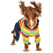 Köpek Tulumu - Rowan - Köpek Kıyafeti