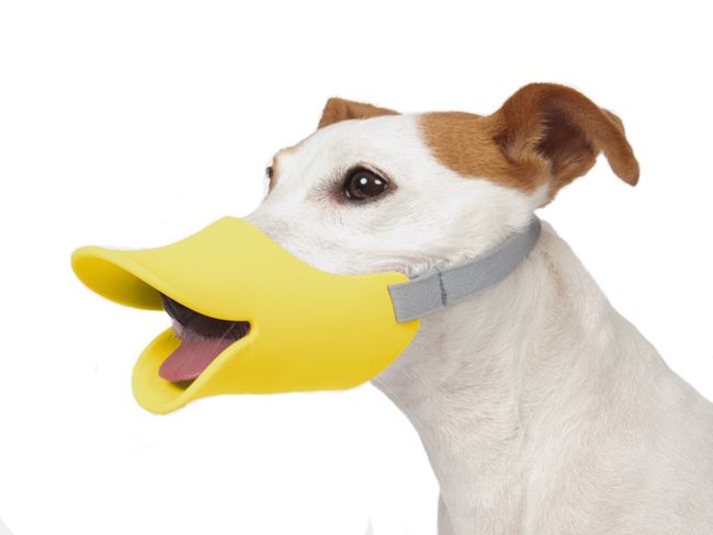 Orta Irk Köpekler için Duck Muzzle Köpek Ağızlığı