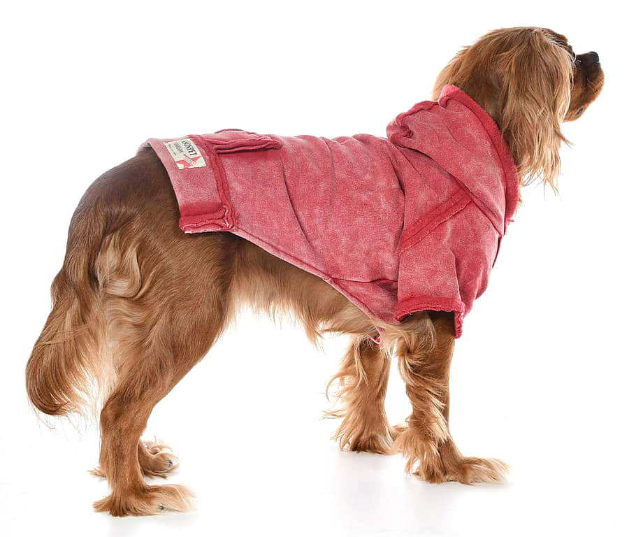 Köpek Elbise - Fusion Kırmızı- Köpek Kıyafeti