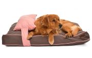 Köpek Yatağı ve Yastık Takımı - Lizzo Large