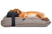 Köpek Yatağı ve Yastık Takımı - Rowan Large