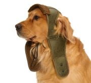Küçük Orta ve Büyük Irk Köpek Şapka Pilot Yeşil
