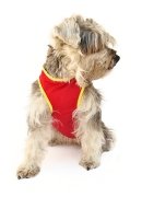 Köpek T-Shirt - Minja kırmızı - Köpek Kıyafetleri