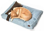 Köpek Yatağı ve Yastık Takımı - Jinzo Large
