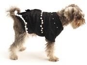 Köpek Elbise - Ponpon Siyah - Köpek Kıyafeti