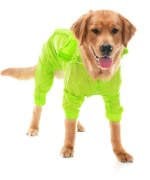 Büyük Irk Paçalı Köpek Yağmurluk - Baggi Yeşil
