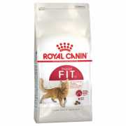 Royal Canin Fit 32 Kuru Kedi Maması 400 Gr