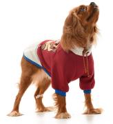 Küçük ve Orta Irk Köpek Sweatshirt - Ingo Bordo - Köpek Kıyafeti