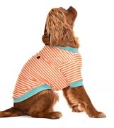 Küçük ve Orta Irk Köpek Sweatshirt - Pabo - Köpek Kıyafeti
