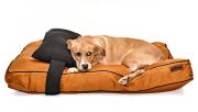 Köpek Yatağı ve Yastık Takımı - Doozy Large