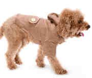 Küçük ve Orta Irk Köpek Ceket - Dorset - Köpek Kıyafeti